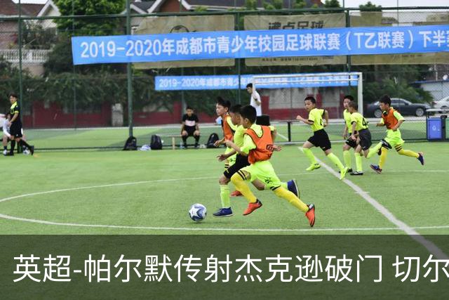 英超-帕尔默传射杰克逊破门 切尔西3-2纽卡斯尔